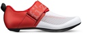 Fizik Transiro Hydra